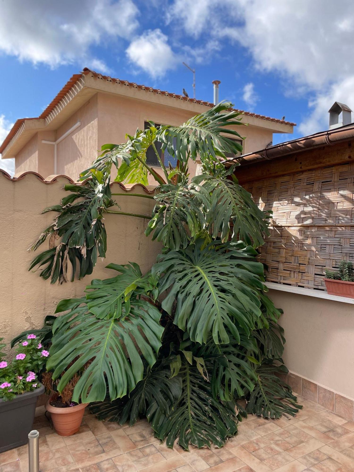 40° Parallelo Guest House Riola Sardo Exterior foto